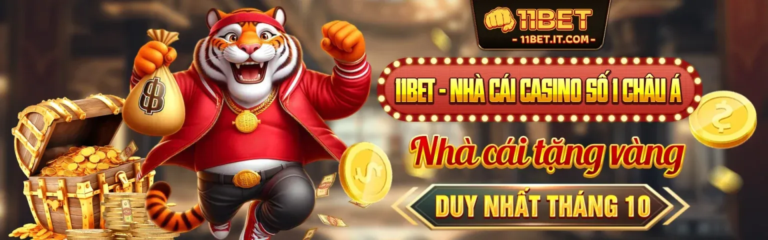 Trận Đá Gà Kịch Tính Trực Tiếp trên i9bet.com
